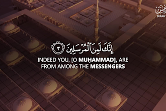 create beautiful quran recitation videos with translation