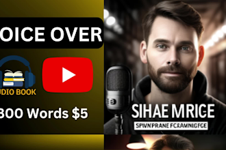 record a professional youtube voice over and male audiobook narrator