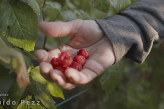 add color grading and color correct to your video footage