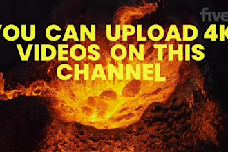 help you create a successful youtube channel