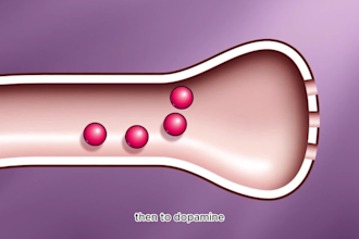 animated medical explainer sales video, 2d scientific animation with voiceover