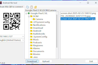 develop custom windows desktop application