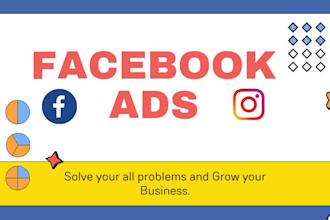expert facebook meta ads campaign and instagram ads manager