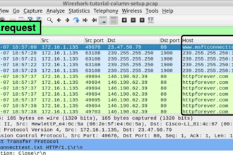 analyze packet and logs using wireshark