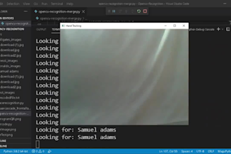 do python coding project, bot, automation, python gui