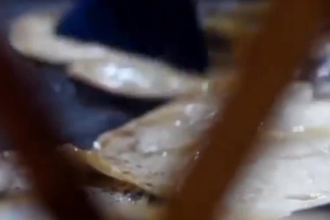 shoot street food for youtube facebook instagram