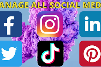 be expert facebook, instagram, linkedin or tiktok social media marketing manager