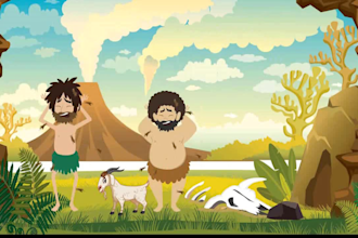 create you an 2d animation explainer video