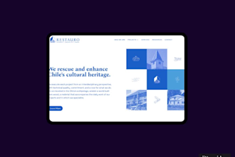 create a professional wordpress divi landing page in 5 days
