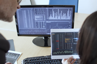 provide expert excel services for data analysis, reporting