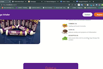 develop classic webs and web app for ecommerce   busines  earning monetization