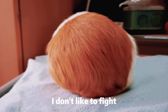 record a cute animal or child english voiceover