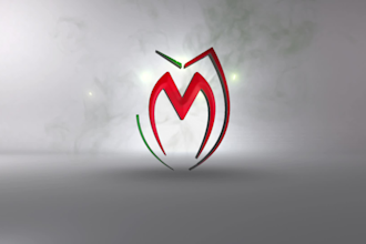do professional logo animation, intro and outro