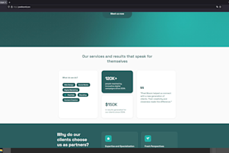 design a professional landing page for your llc