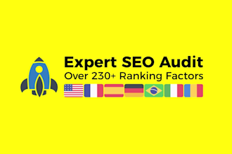 do a professional SEO audit with full report and action plan