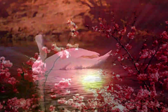 create HD meditation music video for you