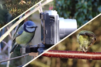 split screen video editing fast stylish professional