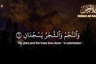 design quran recitation videos with subtitle and translation