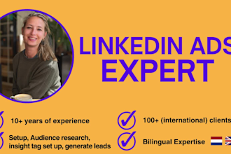 set up or optimize your linkedin ads strategy