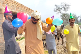 wish funny african happy birthday happy birthday video