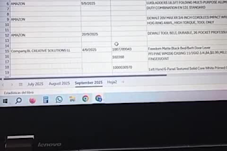 clean, update and organize your database in spanish
