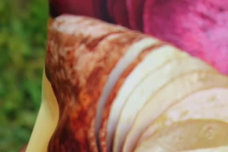 create ugc ads for your food or beverage brand