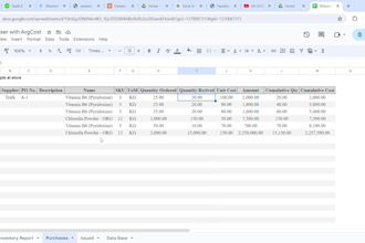 create google sheets and excel inventory management tracker