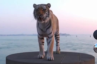 create and animate any 3d animal, creature for games, animation vfx, cgi