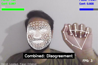 develop real time ai based hand and face gesture recognition system
