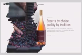 do wix website design, wix studio 3d animation, wix website, wix studio website