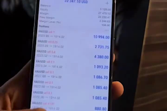 teach you forex trading