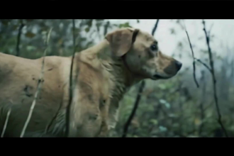 create cinematic ai movie, ai movie trailer, ai short  movie for you