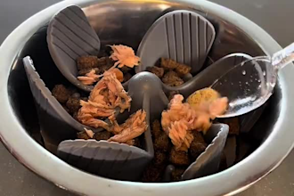 create pet ugc with my cat and dog for your pet service