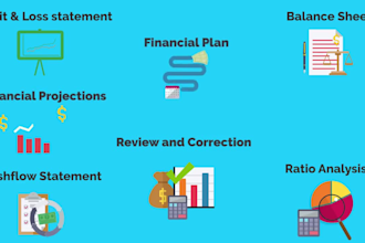 create financial statements, bookkeeping, balance sheet etc