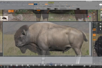 do realistic 3d animal model, 3d animal animation, character modelling