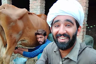funny happy birthday video funny happy birthday video