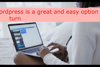 design and setup ecommerce online store with wordpress
