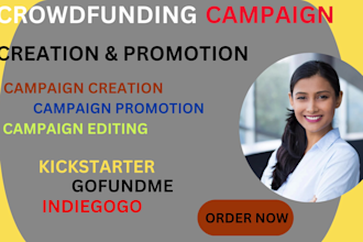 write and optimize your gofundme or crowdfunding campaign