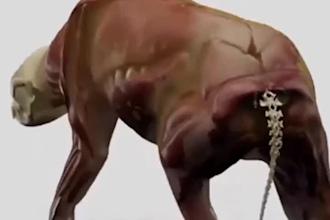 do 3d animal model animation video animal and pet 3d character design blender 3d