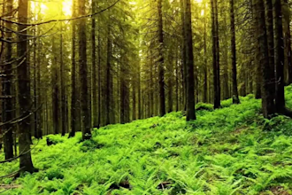 create and promote youtube channel with 30 relaxing yoga videos meditation