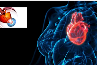 do  2d 3d medical animation anatomy scientific biomedical animation