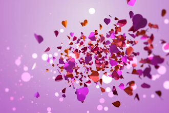 create valentine day romantic gift video for your love