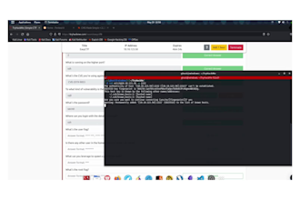 perform a professional penetration test with a detailed security report