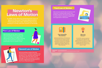 design creative business infographics,flyers and poster for instagram