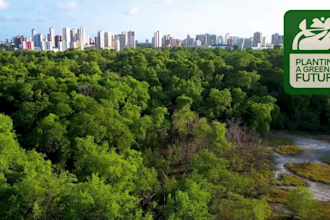 do environmental sustainability and ecological tasks