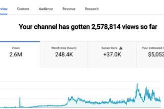 grow youtube cro audit channel monetization ppc campaign google ads audit