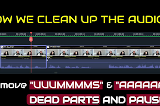 be your audio podcast editor to cleanup your podcast and edit audiobook