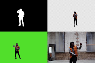 do professional rotoscope,green screen,tracking,roto paint
