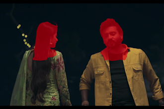 do vfx, rotoscoping, roto, green screen remove professionally