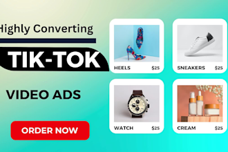 setup,management a promo video ad for tik tok ads or facebook ads